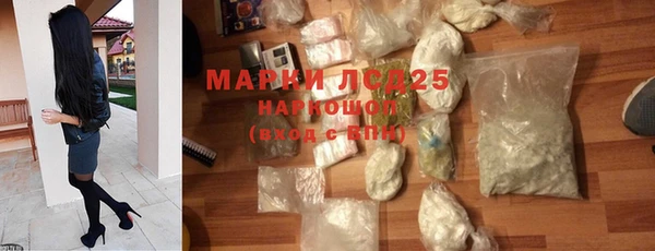 гашик Балахна