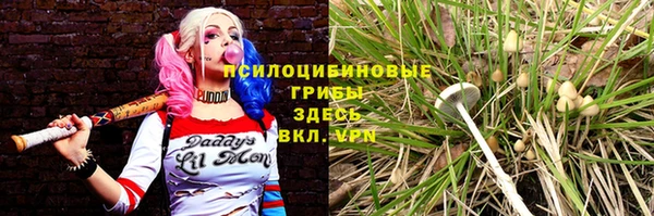 кокс Баксан