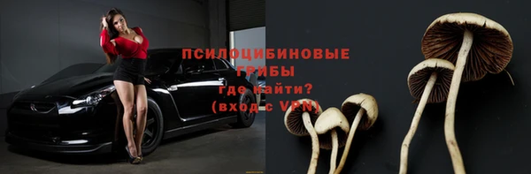 кокс Баксан