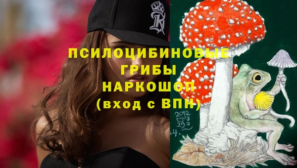 гашик Балахна