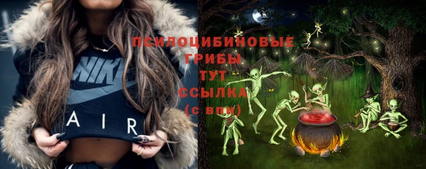гашик Балахна