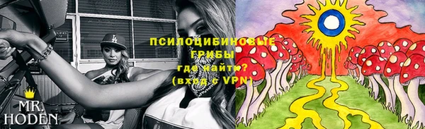 кокс Баксан