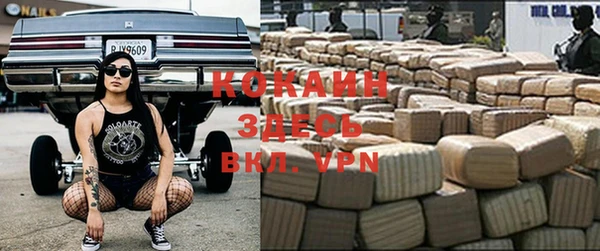кокс Баксан