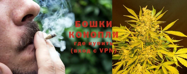 гашик Балахна