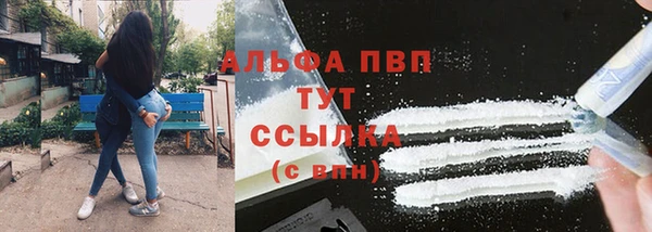 гашик Балахна