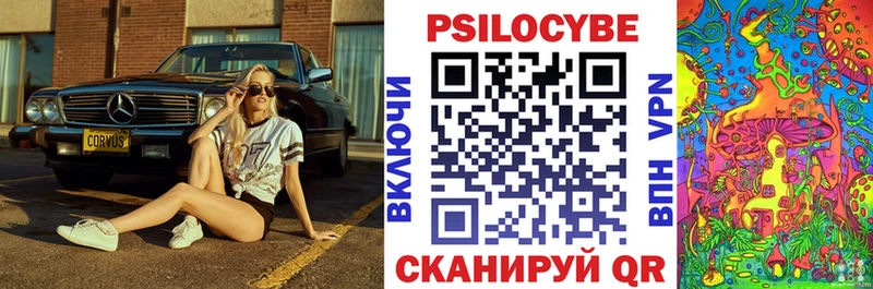 Псилоцибиновые грибы мицелий наркотики Ясногорск